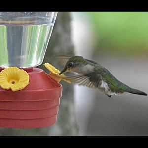 Meet your Posher, Anne